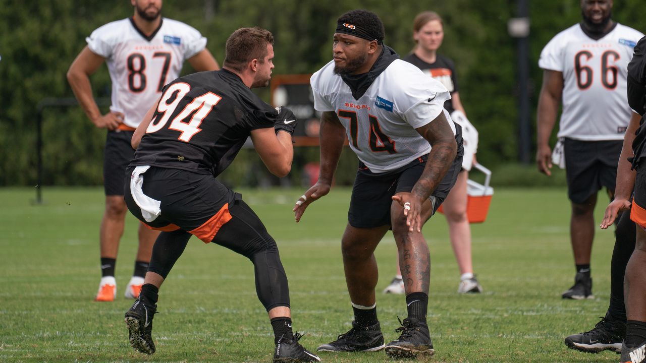 Cincinnati Bengals Quick Hits: Tee Higgins Impresses as Punter Competition  Heats Up - Sports Illustrated Cincinnati Bengals News, Analysis and More