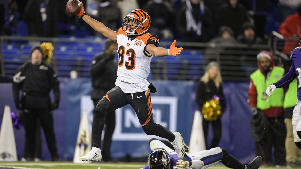 10 October 2010: Cincinnati Bengals wide receiver Terrell Owens (81)  celebrates a Cincinnati Bengals touchdown. The Tampa Bay Buccaneers  defeated the Cincinnati Bengals by a score of 24 to 21 at Paul