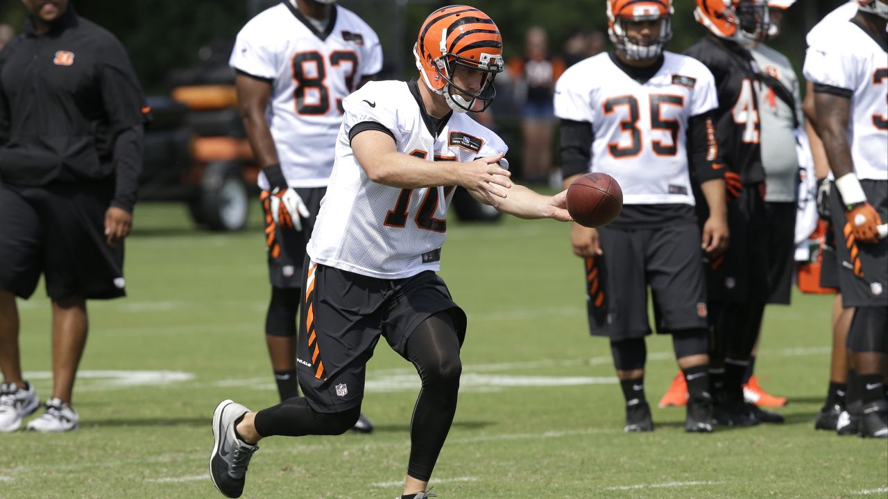 Cincinnati Bengals punter Kevin Huber (10) after an NFL football