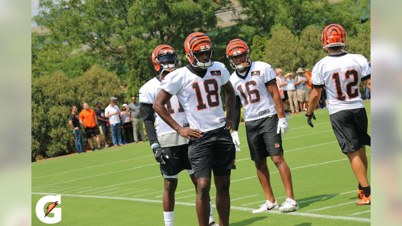 PHOTOS: Cincinnati Bengals preseason training camp, 7/28