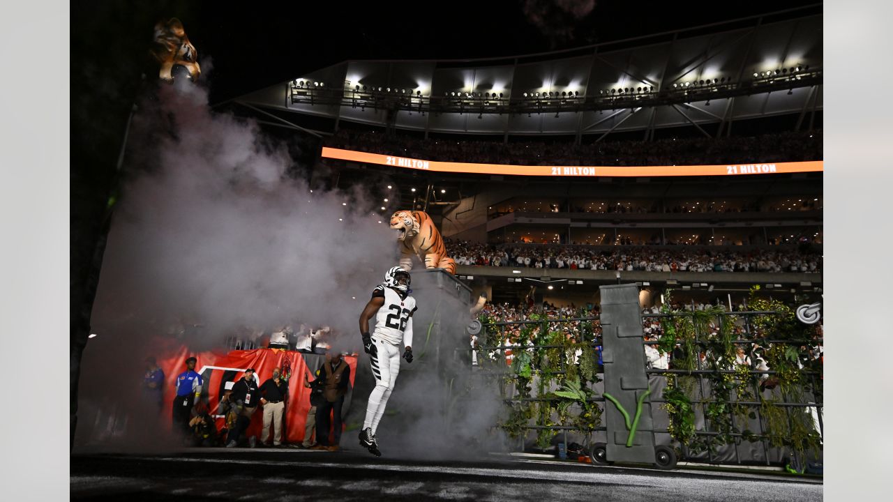 ❄️ ICY ❄️ The @Bengals are bringing back their White Bengal look today in  Pittsburgh