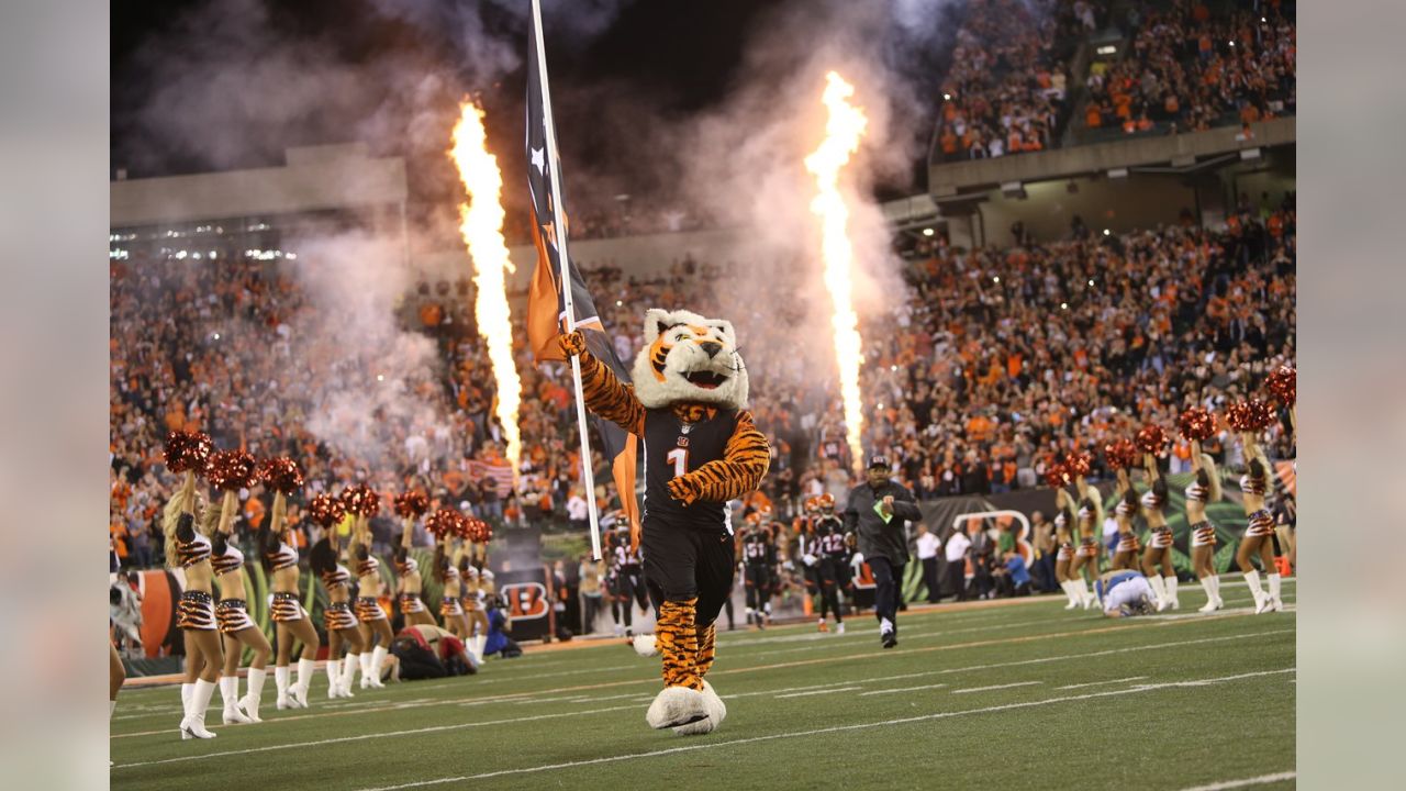 Cincinnati Bengals Pregame Fireworks and Hype Video in Front of