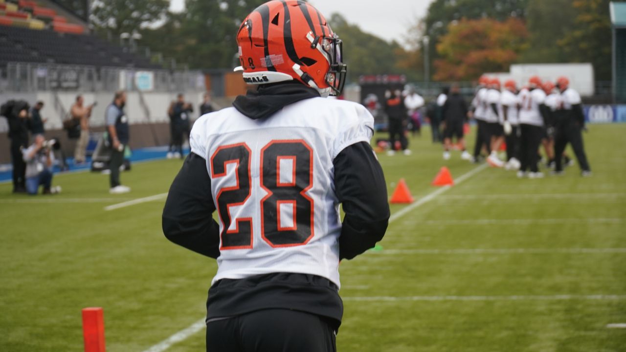 Bengals Quick Hits: Tyler Boyd Loves Bills Fans, But Not Monday; Joe Mixon  Eyes Gio Bengals Record And Salty Bills LBs; Check Out Zac Taylor's  Favorite Day Of '22