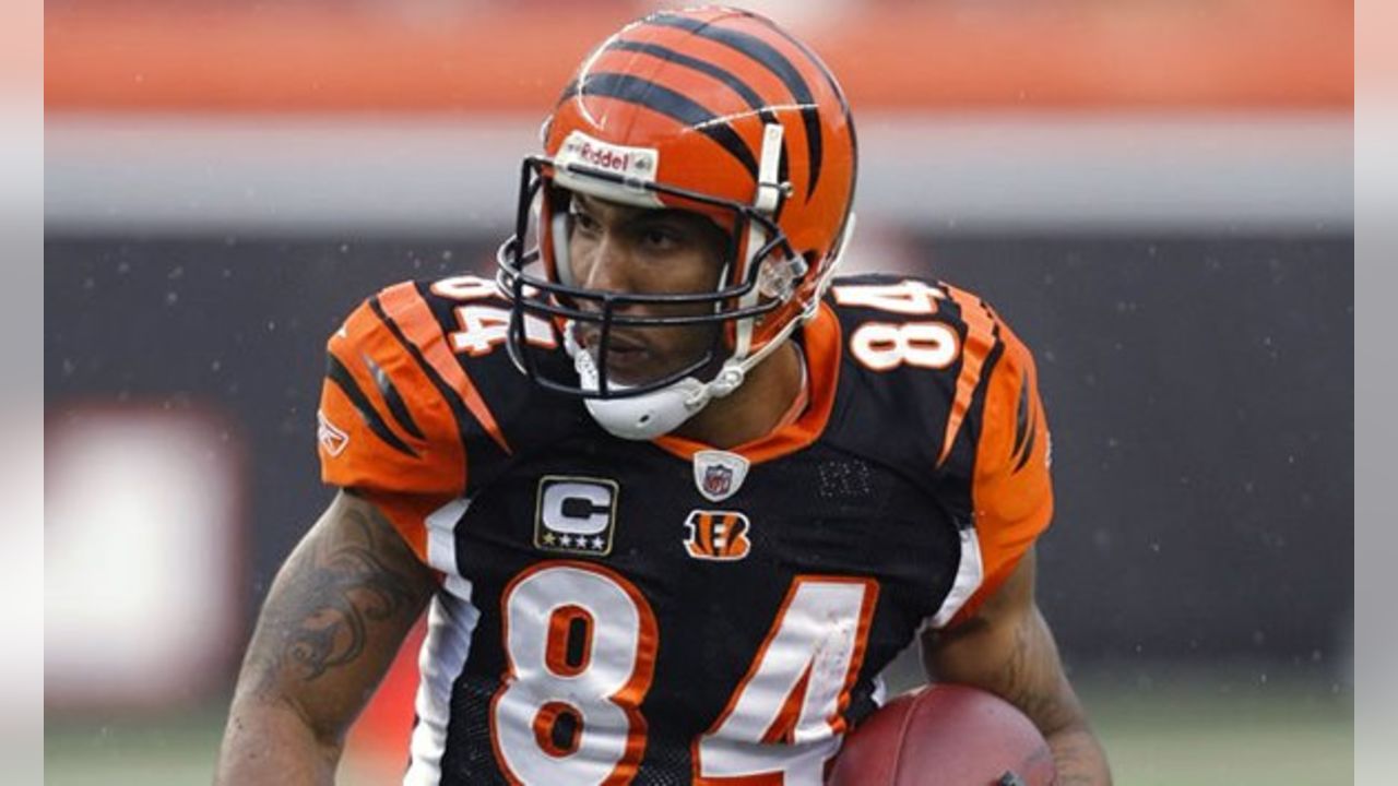 464 Cincinnati Bengals Tj Houshmandzadeh Photos & High Res Pictures - Getty  Images