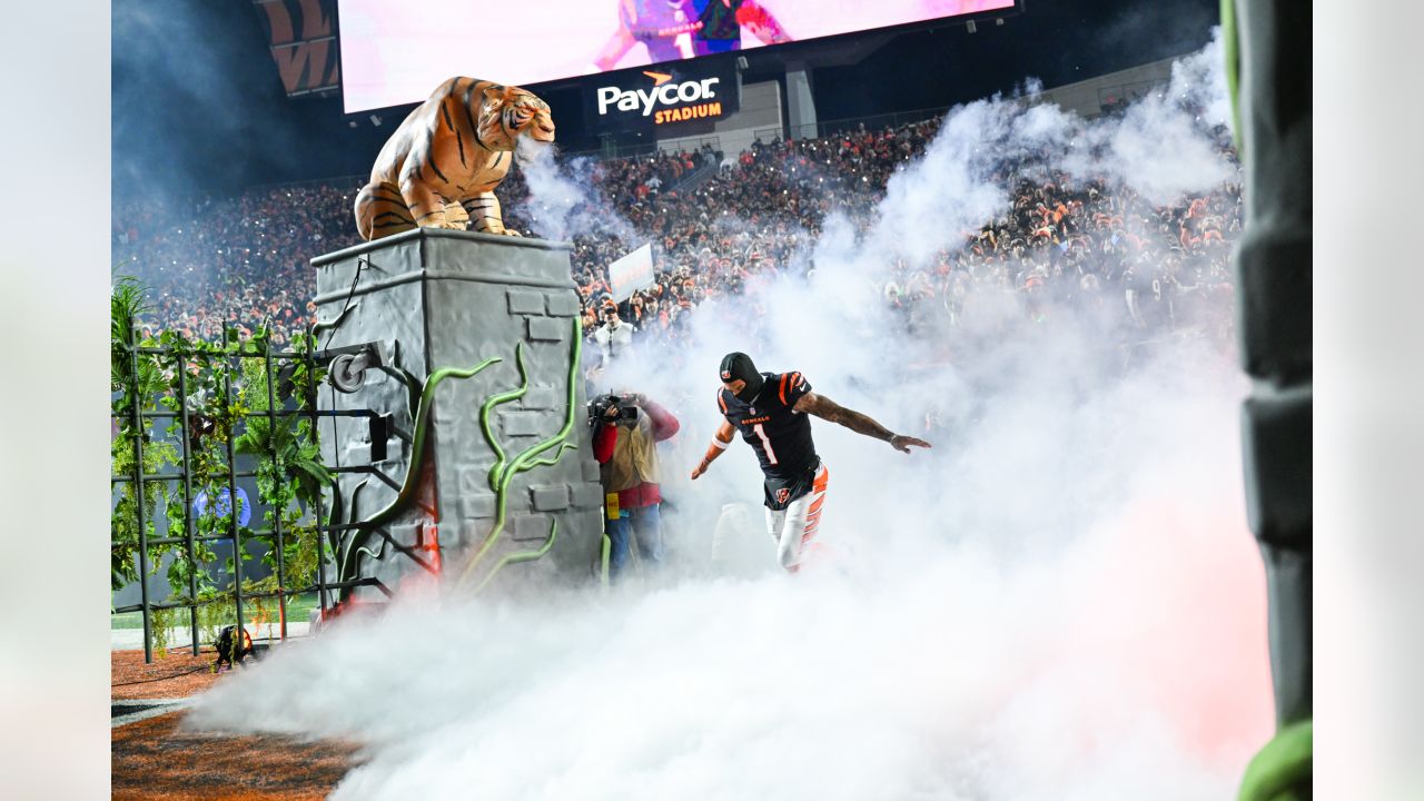 Highest price for Bengals, Ravens wild card tickets tops $16,000