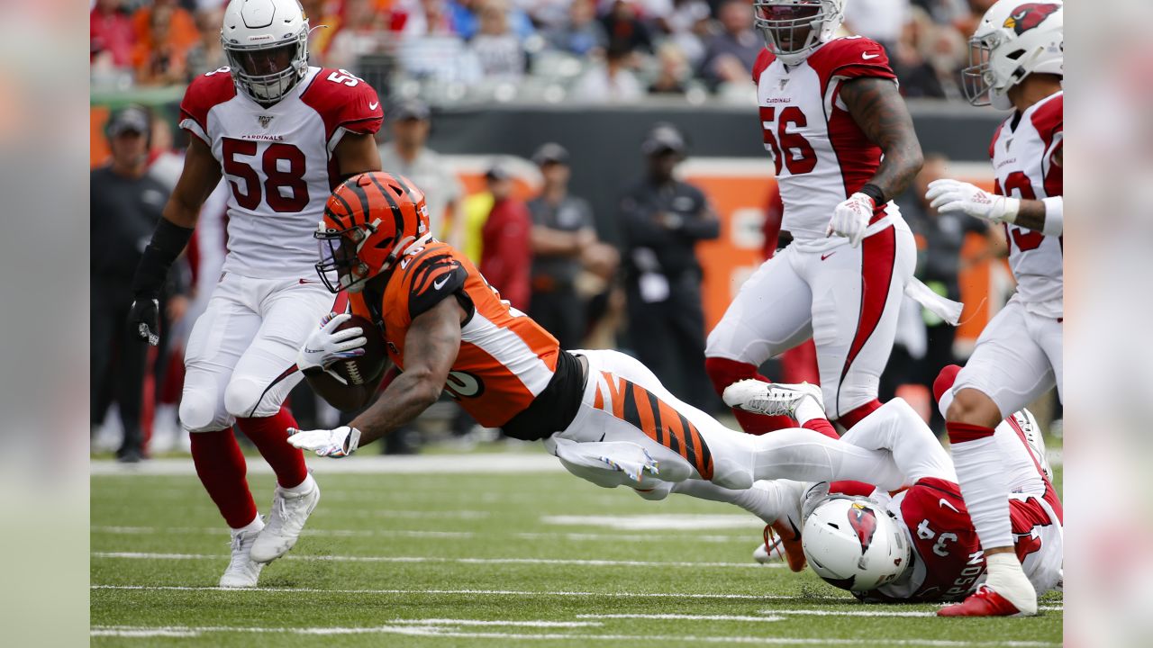 Cincinnati Bengals defensive tackle Mike Reid rushes the passer