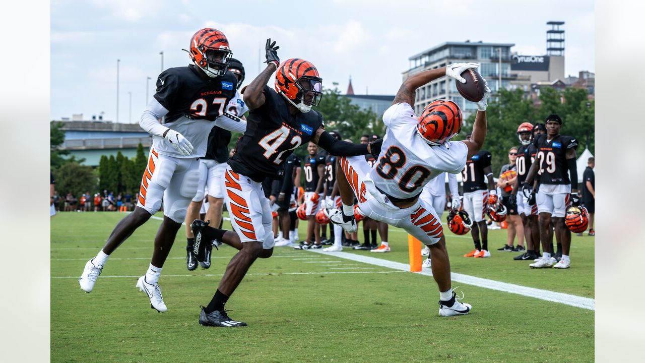 Photos: Cincinnati Bengals training camp, 8/24