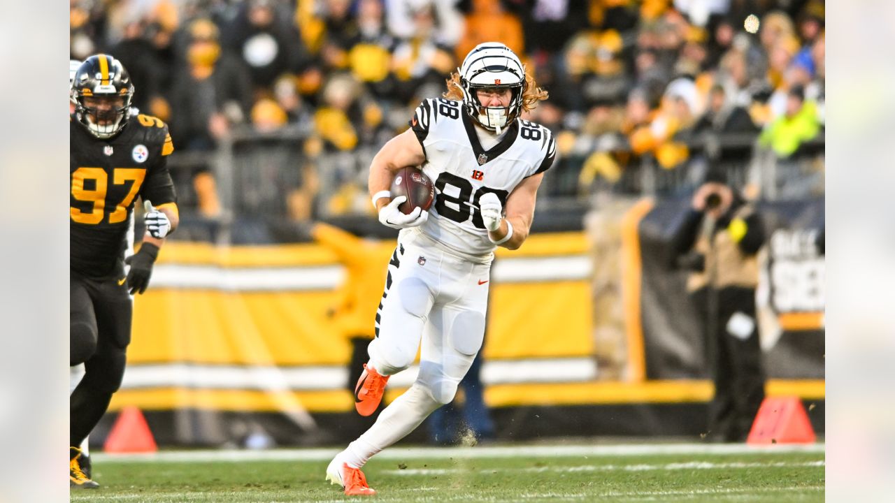 Pittsburgh Steelers vs. Cincinnati Bengals - 2022 NFL Regular Season Week  11 - Acrisure Stadium in Pittsburgh, PA