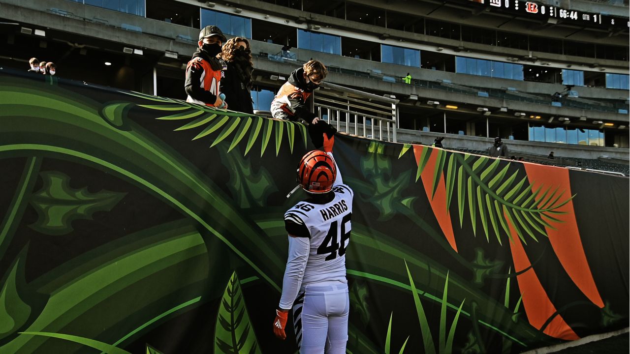 First look: Bengals end zone, sideline painted