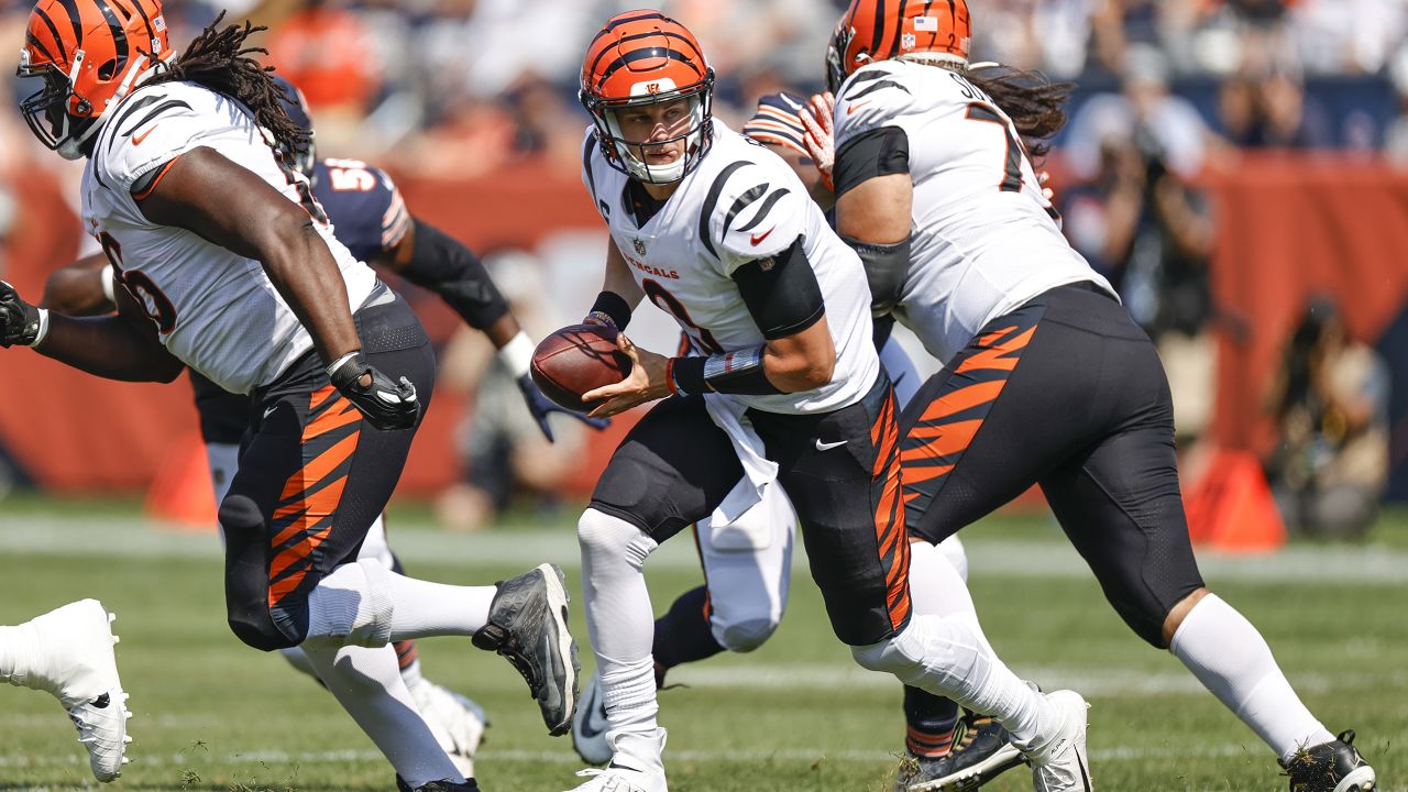 Bengals lose to Bears in football game Sunday, 20-17