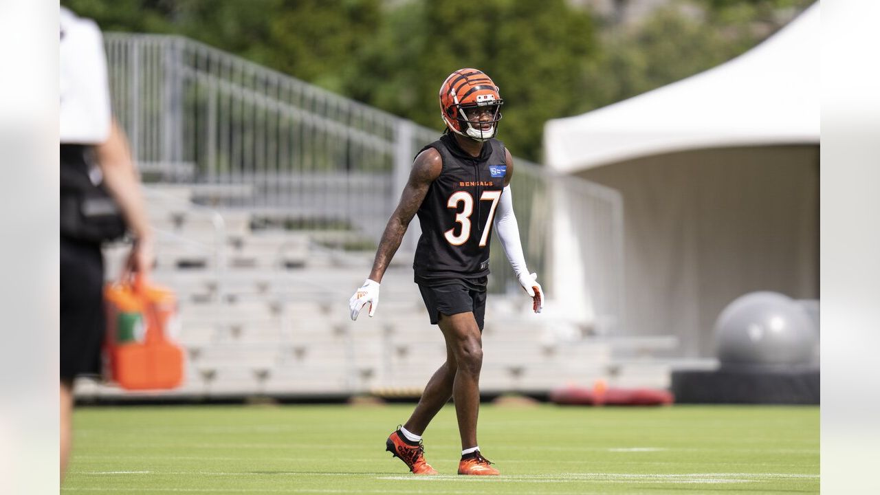 Mike Brown to miss first Bengals game since 1991 - Cincy Jungle