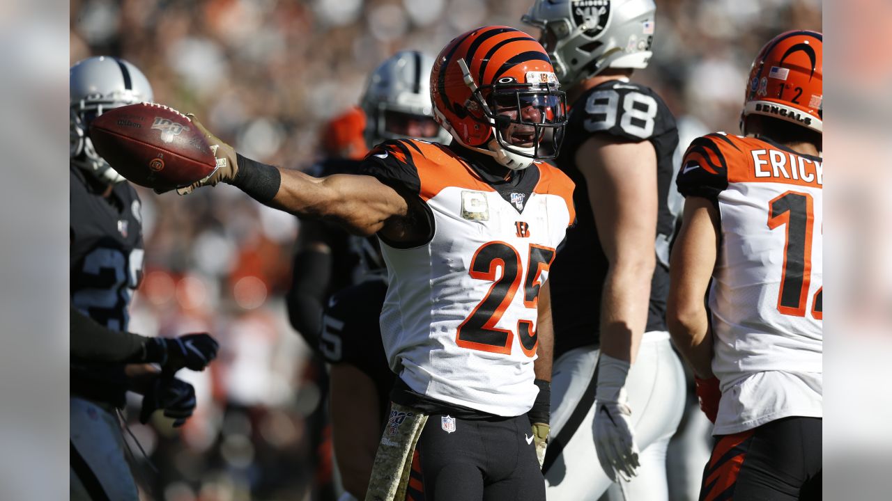 The Bengals fell to the Oakland Raiders 17-10 in Week 11.