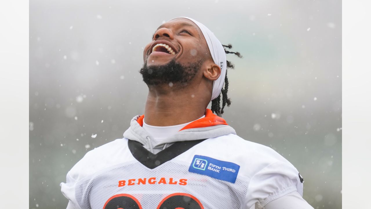 ❄️ ICY ❄️ The @Bengals are bringing back their White Bengal look today in  Pittsburgh