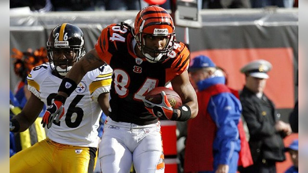 T. J. Houshmandzadeh, American Football Database