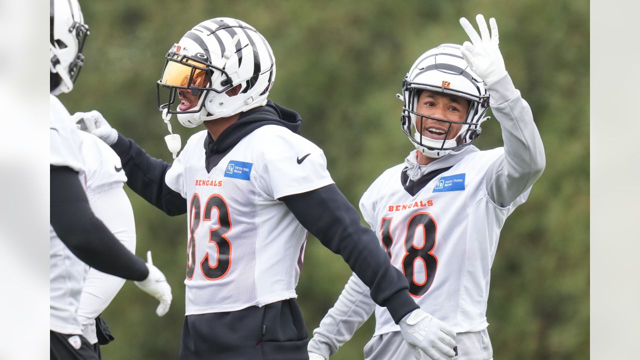 ❄️ ICY ❄️ The @Bengals are bringing back their White Bengal