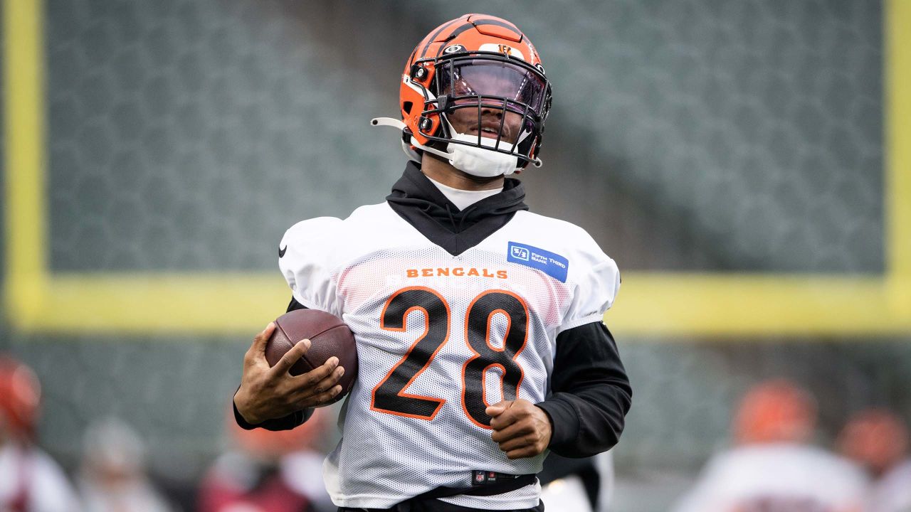 Bengals roster news on Vernon Hargreaves, Hakeem Adeniji, Darius