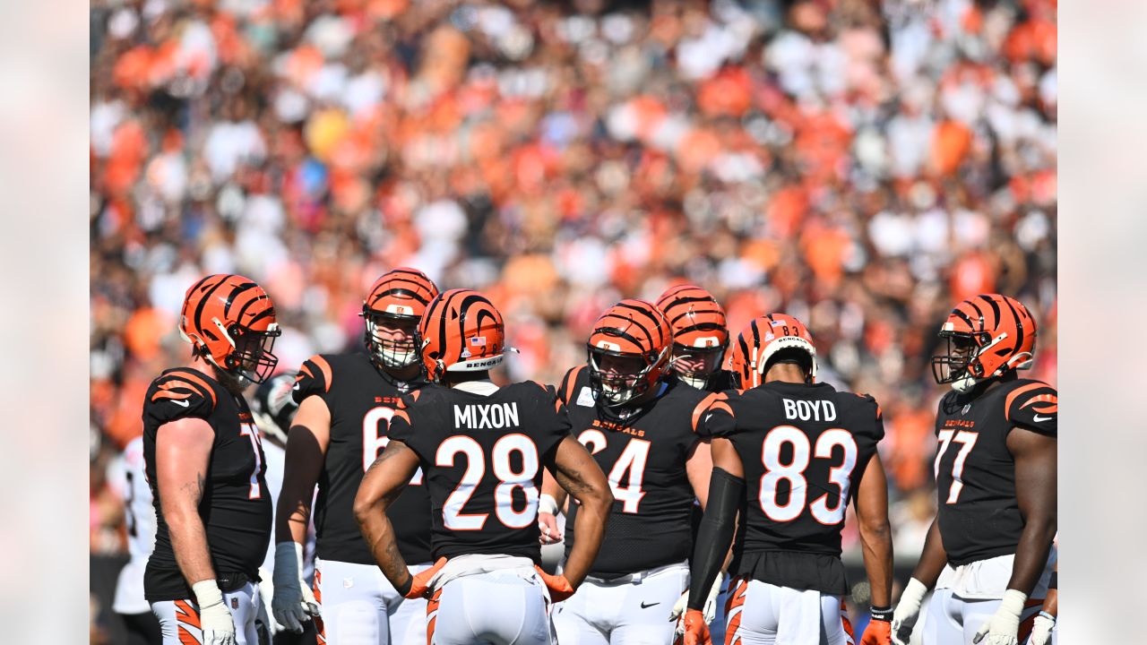 Photos: Bengals Gamedey Action Against Atlanta