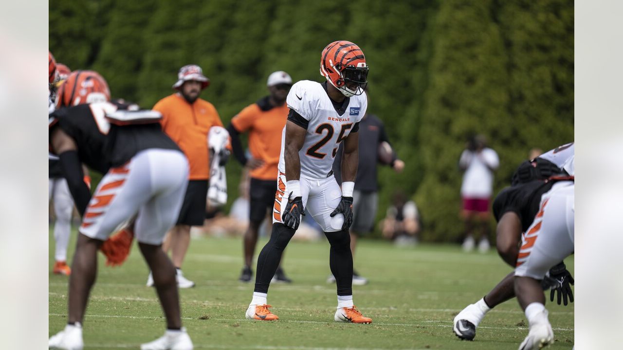 Cincinnati Bengals' Tyler Shelvin stands on the field during an NFL  football practice in Cincinnati, Tuesday, May 24, 2022. (AP Photo/Aaron  Doster Stock Photo - Alamy