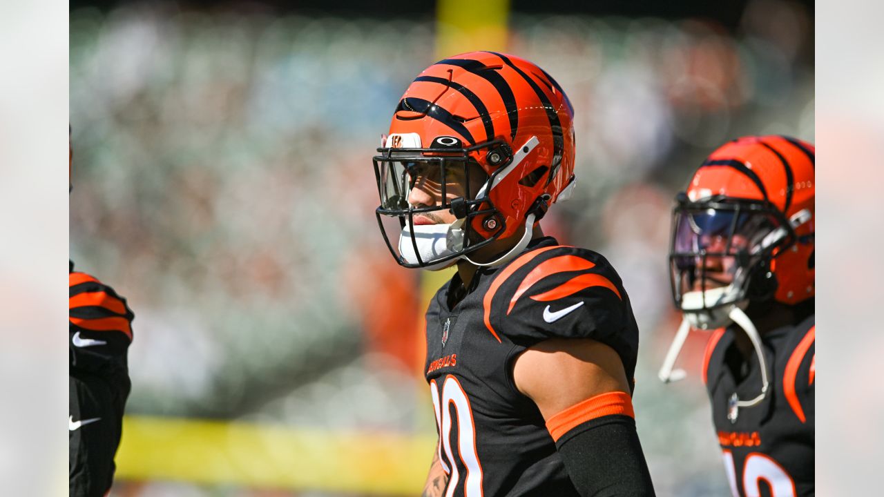 Photos: Best of Bengals-Panthers Game Action