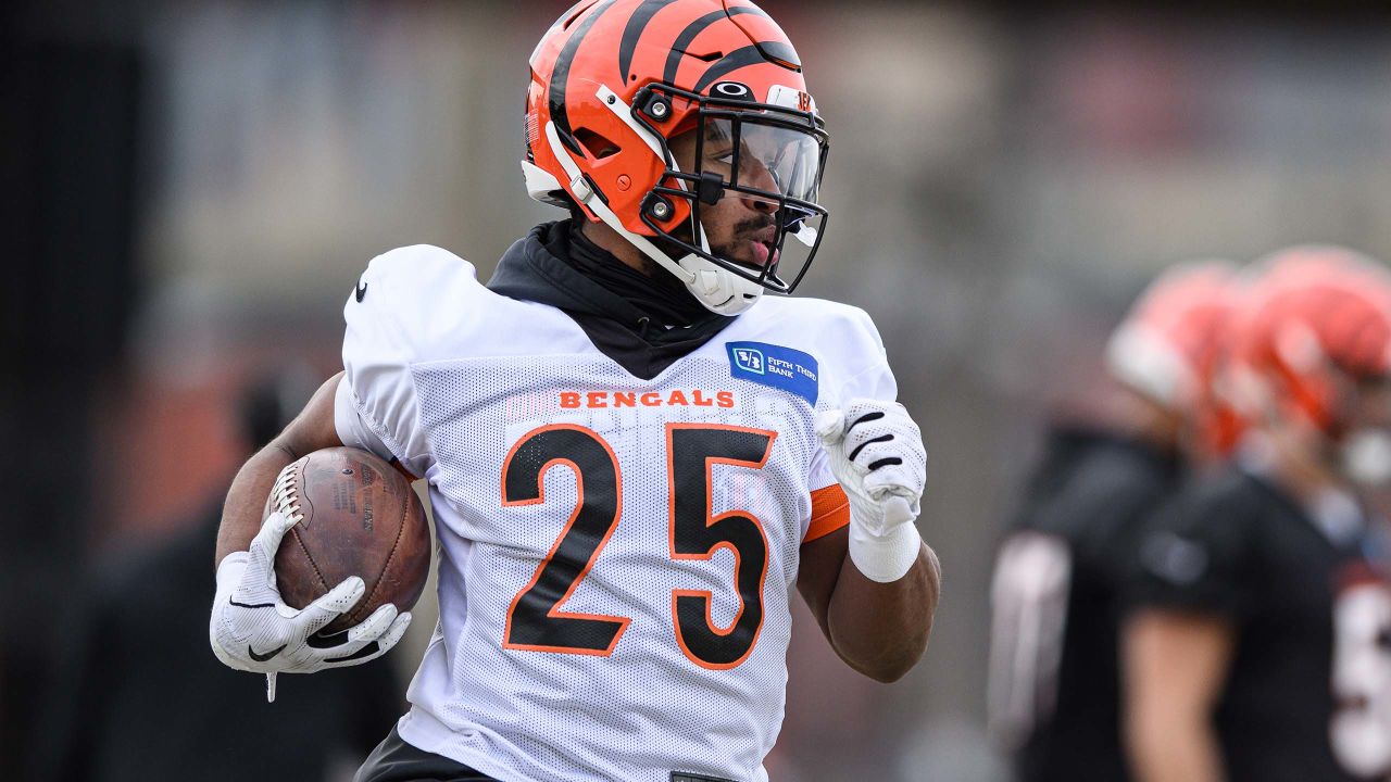 Quick Hits: Roger Goodell happy for Bengals after AFC Wild Card win