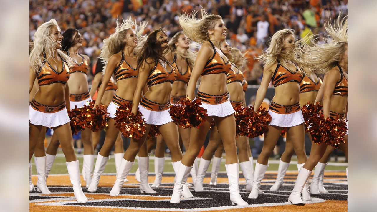 A Cincinnati Bengals cheerleader performs before an NFL football game  against the Baltimore Ravens, Sunday, Jan. 3, 2016, in Cincinnati. (AP  Photo/Frank Victores Stock Photo - Alamy