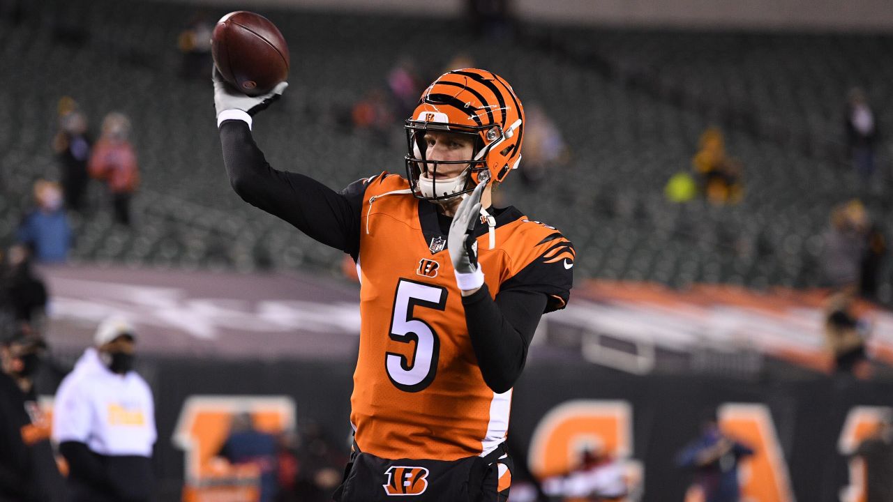 Cincinnati Bengals quarterback Ryan Fitzpatrick (11) in action against the  Pittsburgh Steelers during a NFL football game in Pittsburgh, Thursday, Nov.  20, 2008. The Steelers won 27-10. (AP Photo/Gene J. Puskar Stock Photo -  Alamy