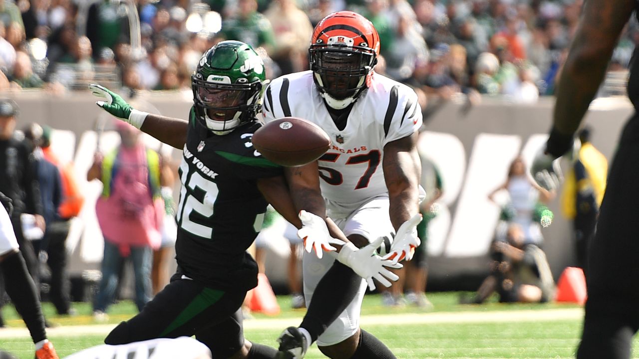 Cincinnati Bengals running back Samaje Perine (34) warms up before taking  on the New York Jets in an NFL football game, Sunday, Oct. 31, 2021, in  East Rutherford, N.J. (AP Photo/Adam Hunger