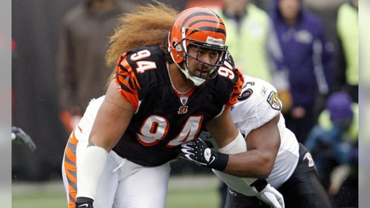 Bengals DE Domata Peko actually called the Steelers 'pieces of bleep'