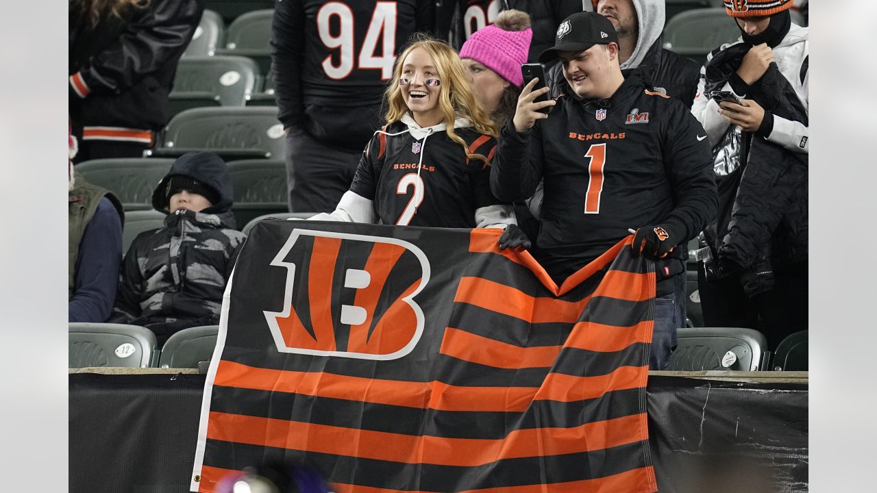 N.F.L. Playoff Picture: What Bengals Fans Should Cheer For - The