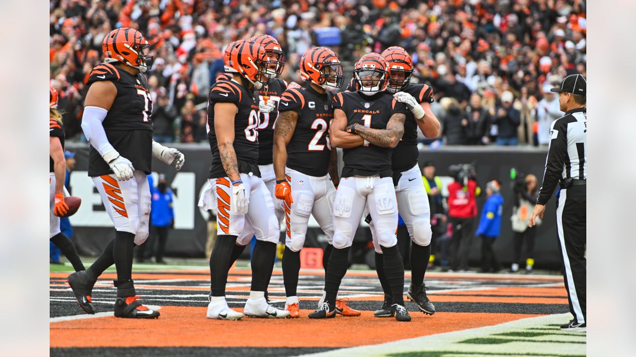 Photos: Week 14 - Browns at Bengals Game Action