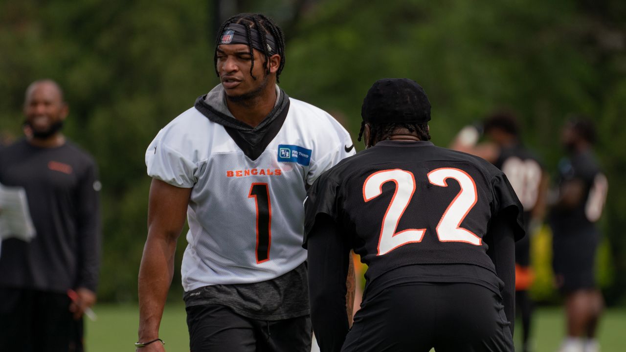 Bengals Notebook: Tee Higgins looks to make a major leap