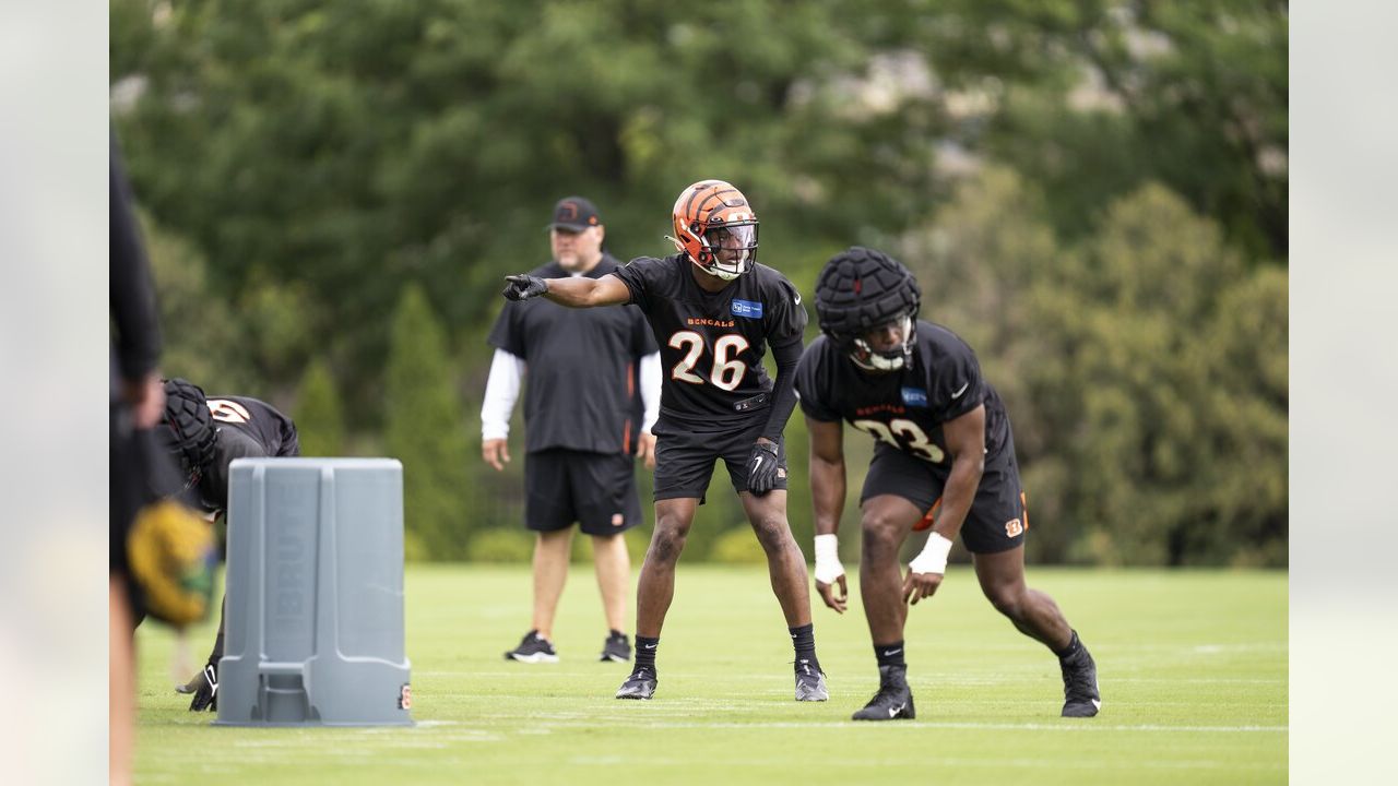 Bengals training camp: Mike Brown says team paying price for poor play