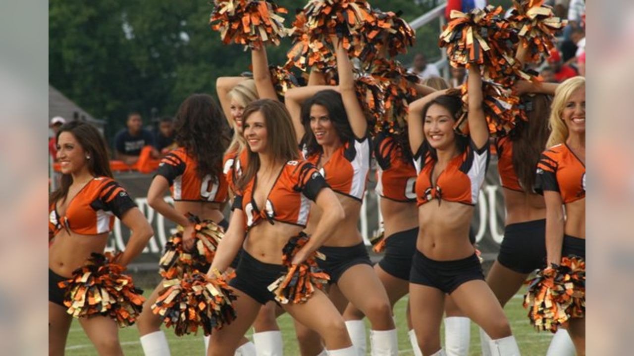 2,009 Bengals Cheerleader Stock Photos, High-Res Pictures, and