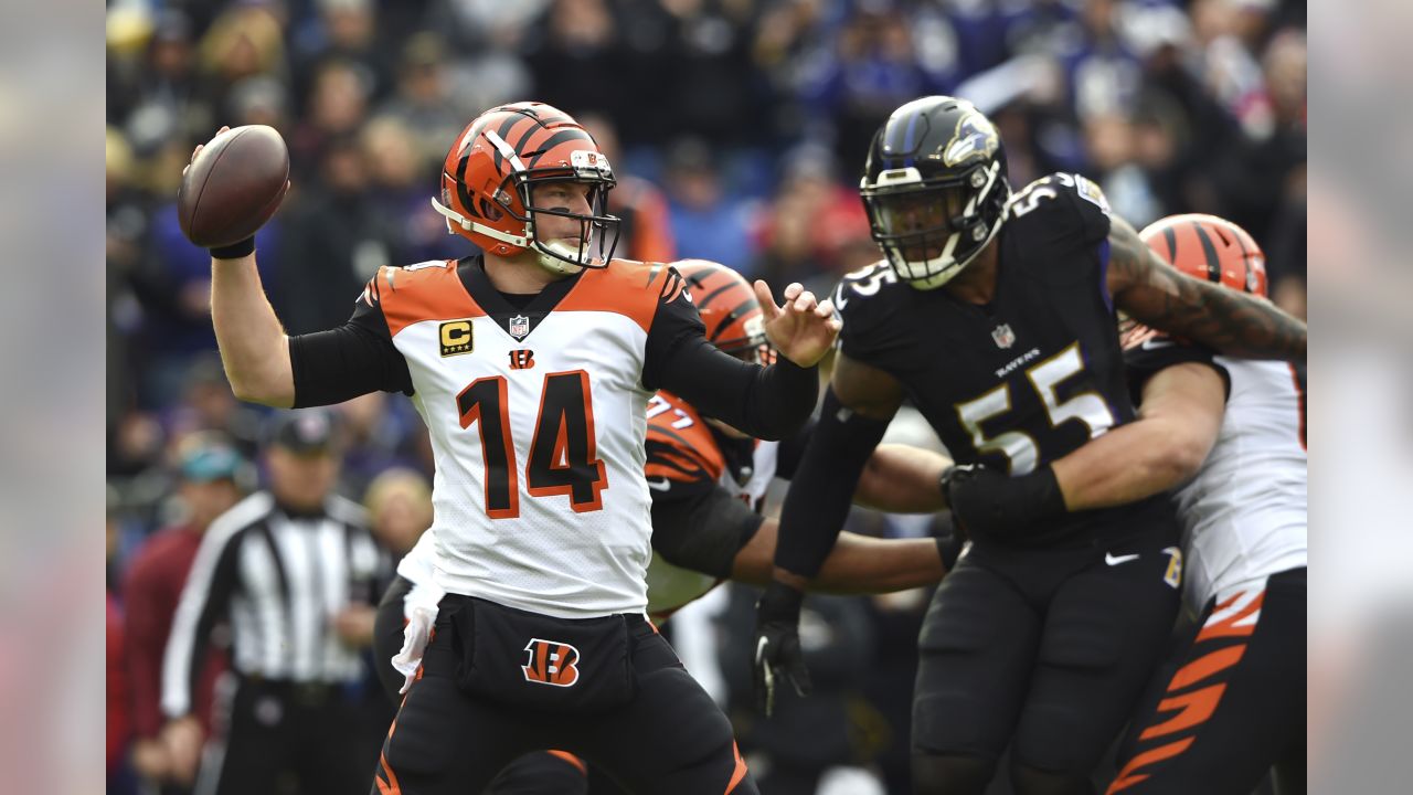 Bengals News (8/22): Andy Dalton isn't worried about expectations - Cincy  Jungle