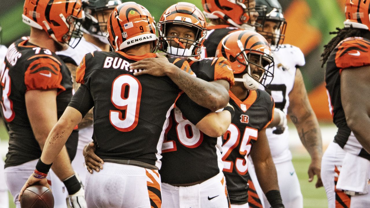 Former Cincinnati Bengals Quarterback Boomer Esiason Praises Joe Burrow  Following Ring of Honor Announcement: 'He's Exceeded Every Expectation That  I Had For Him' - Sports Illustrated Cincinnati Bengals News, Analysis and  More