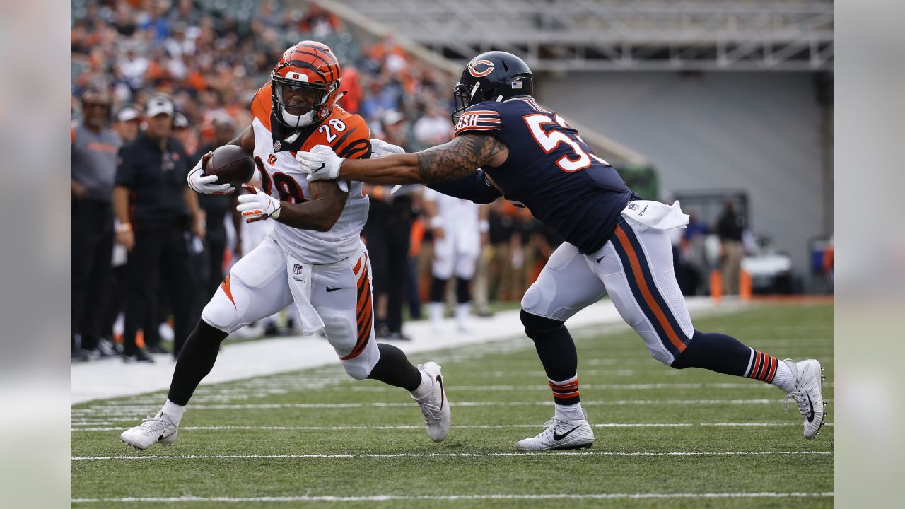 PRESEASON GALLERY: Chicago Bears at Cincinnati Bengals, Aug. 9