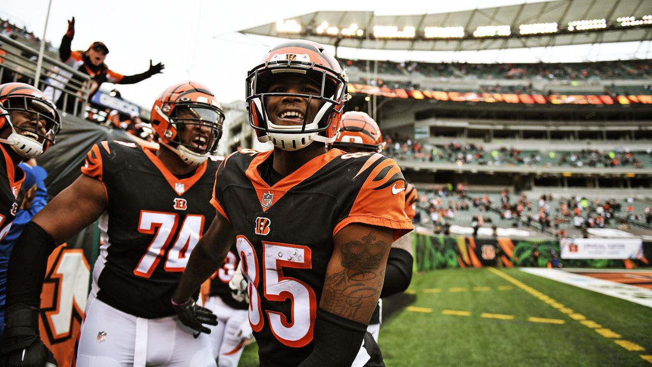 Cincinnati, OH, USA. 25th Oct, 2020. Tee Higgins #85 of the Cincinnati  Bengals scores a touchdown during NFL football game action between the  Cleveland Browns and the Cincinnati Bengals at Paul Brown