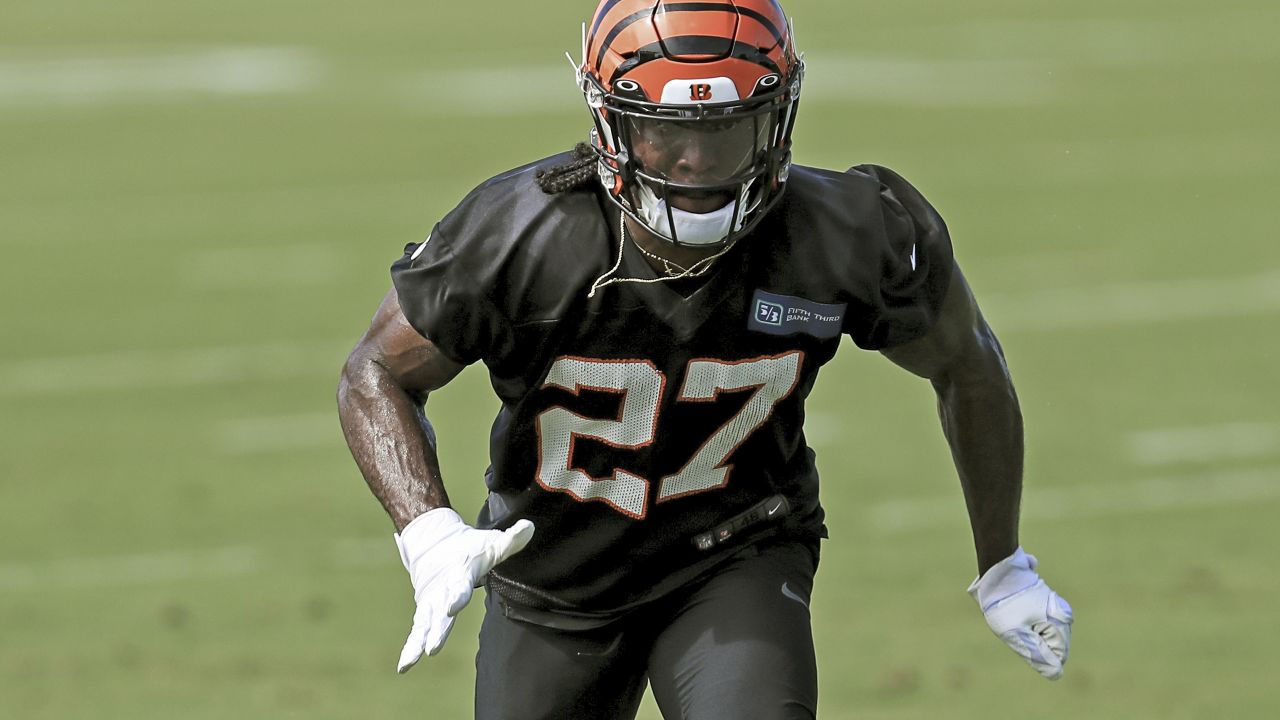 Photo Gallery  Bengals 2020 Roster