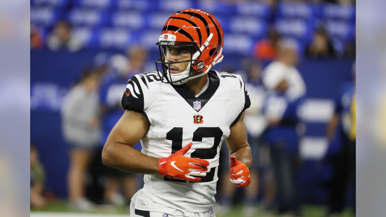 NFL preseason Week 4: Cincinnati Bengals at Indianapolis Colts - Cincy  Jungle