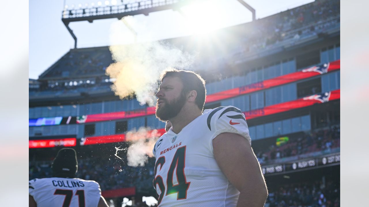 Photos: Bengals Beat the Patriots, 22-18