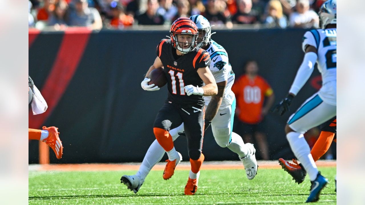 Cincinnati Bengals sign free-agent WR Trent Taylor