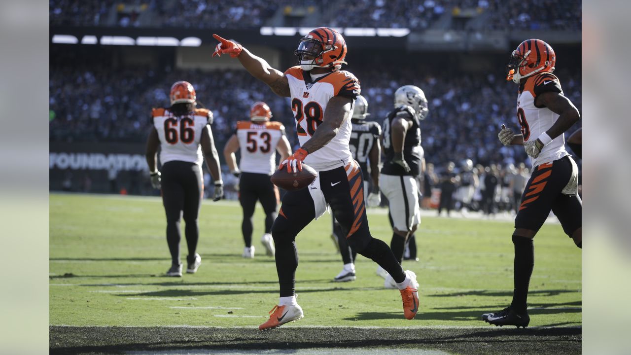 Photos from Top 10 moments from Oakland Raiders 17-10 win over Cincinnati  Bengals