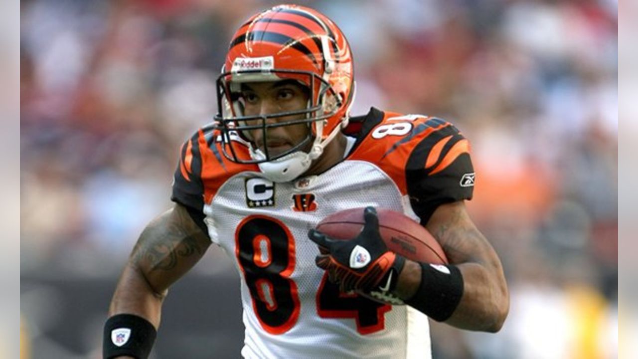 464 Cincinnati Bengals Tj Houshmandzadeh Photos & High Res Pictures - Getty  Images