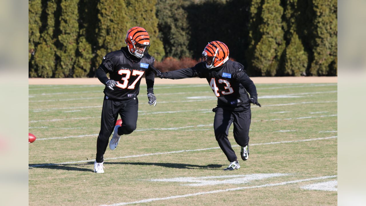 Chris Worley Promoted to the Cincinnati Bengals Active Roster From