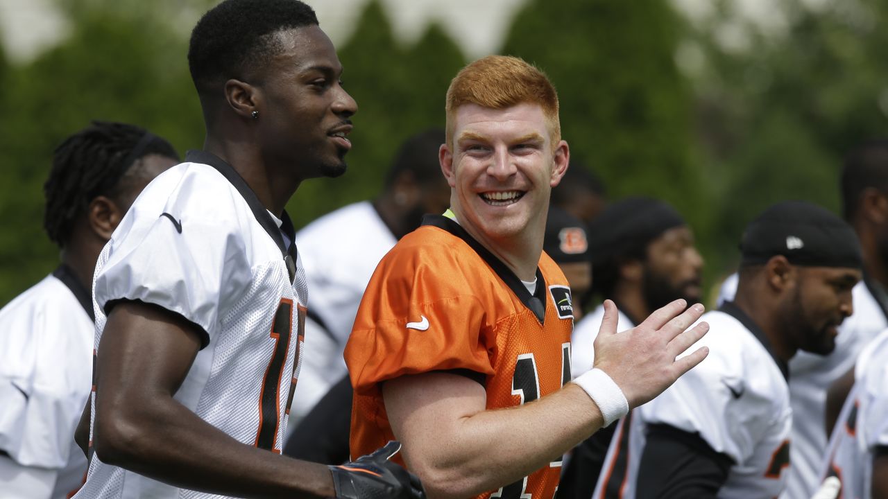 Cincinnati Bengals release quarterback Andy Dalton - The Boston Globe