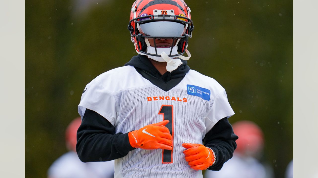 Photos: Bengals Practice for Divisional Round