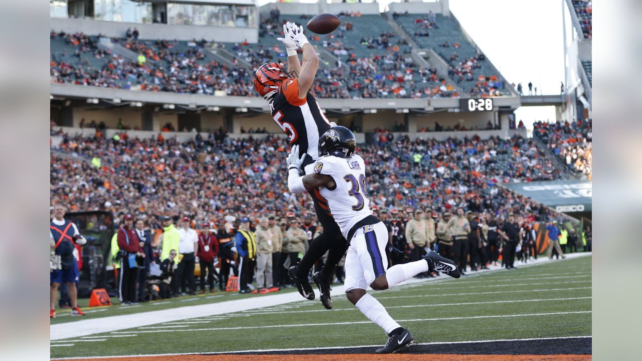 Tyler Eifert Highlights (Week 5), Seahawks vs. Bengals