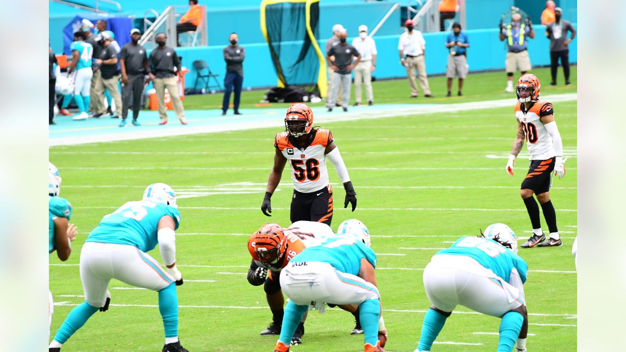 Bengals-Dolphins Stage Grinder