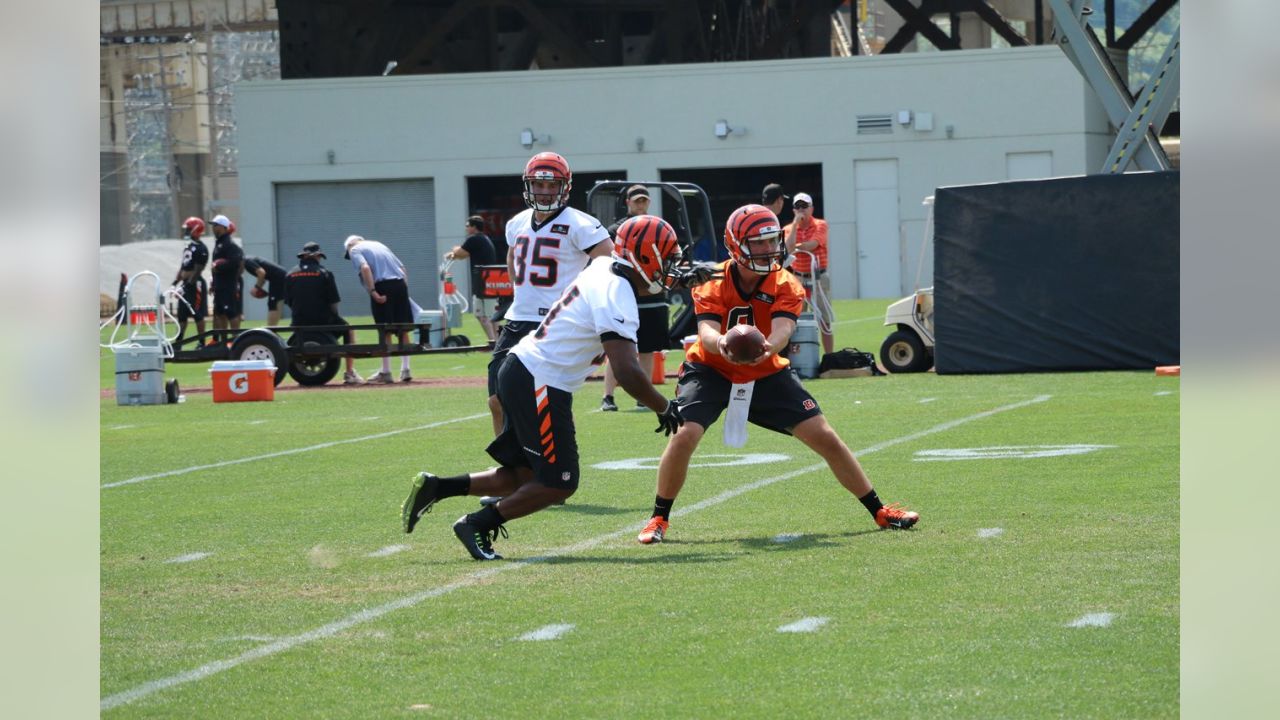 Cincinnati Bengals Rookie Minicamp Takeaways and Notes 