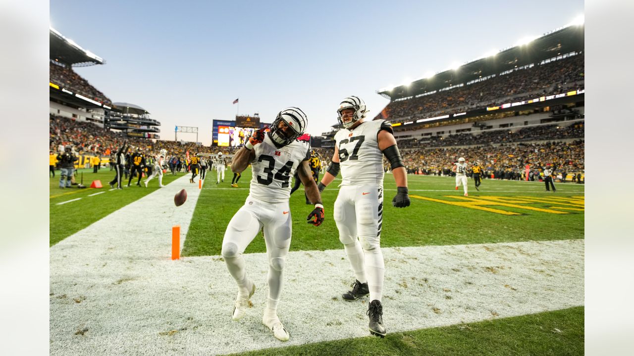 Bengals pregame: Week 11 against the Pittsburgh Steelers – The Hilltopper